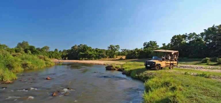 2  Days  Selous Safari from Zanzibar