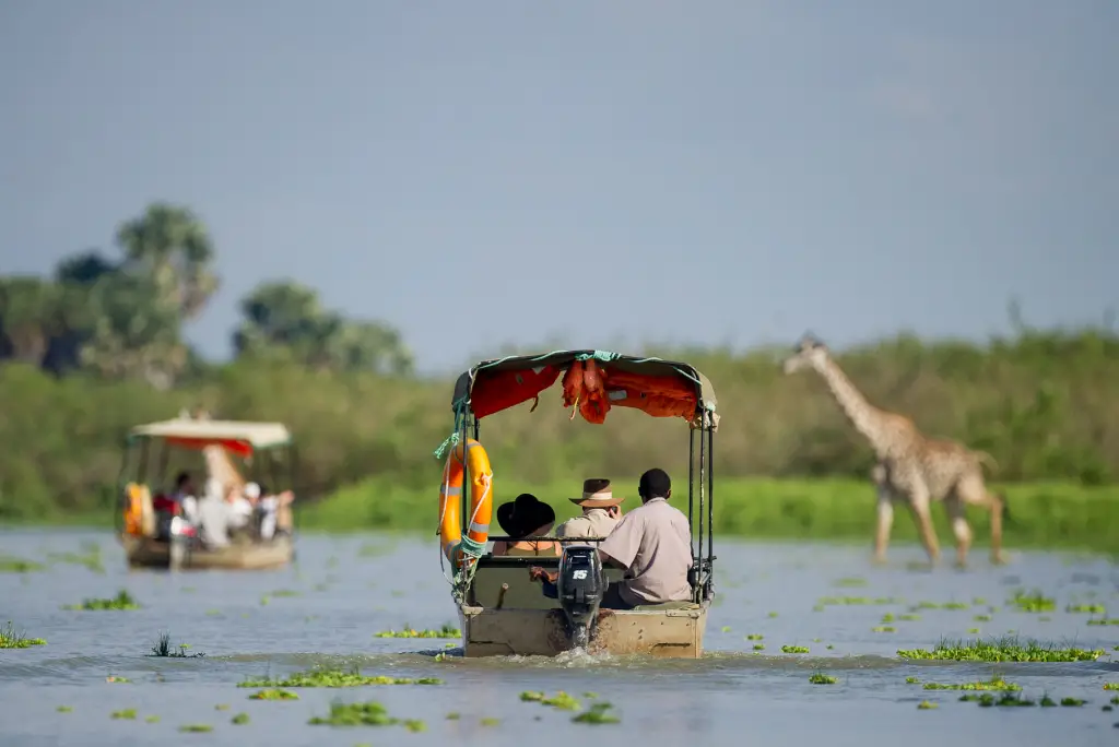 2-days-selous-fly-in-safari1