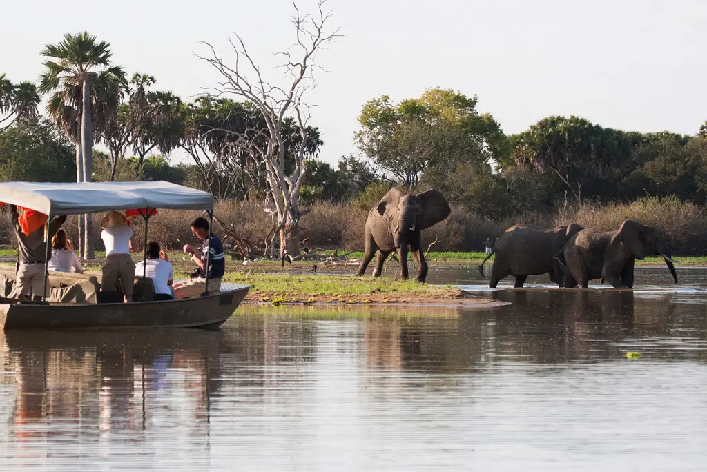 2-days-selous-fly-in-safari2