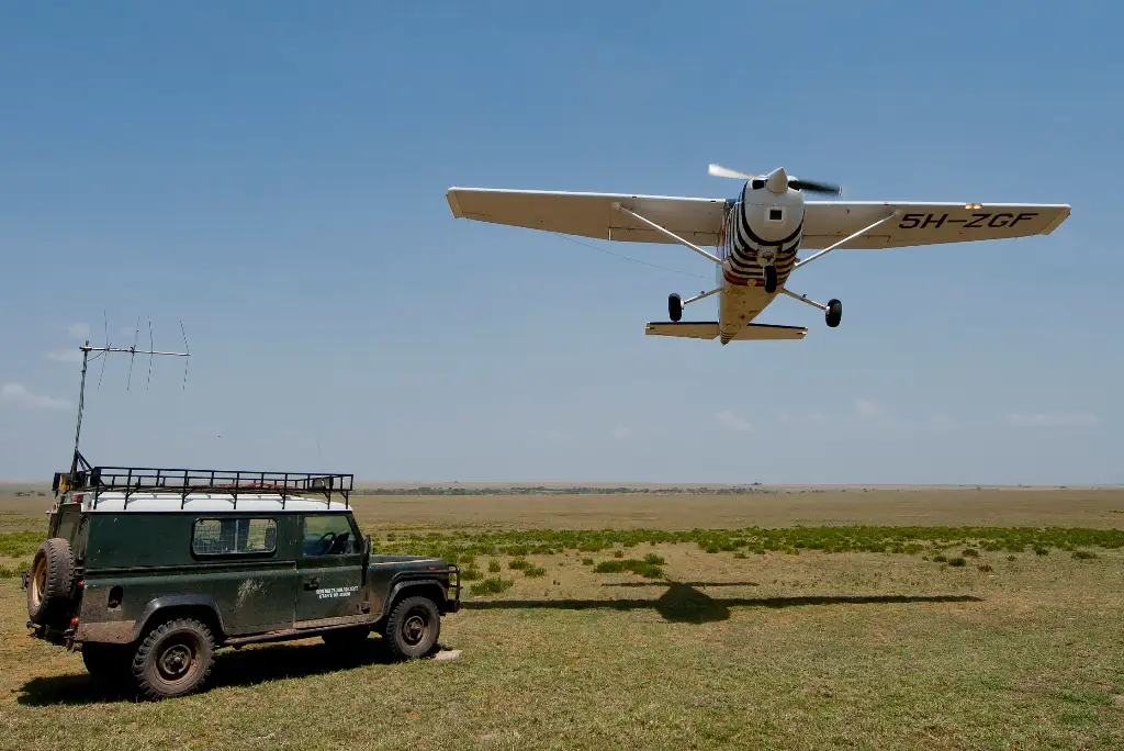 2-days-serengeti-national-park-fly-in-safari2