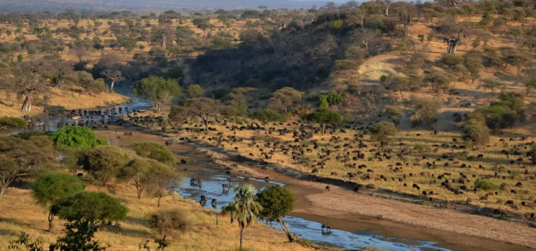 2  Days  Tarangire & Ngorongoro Crater