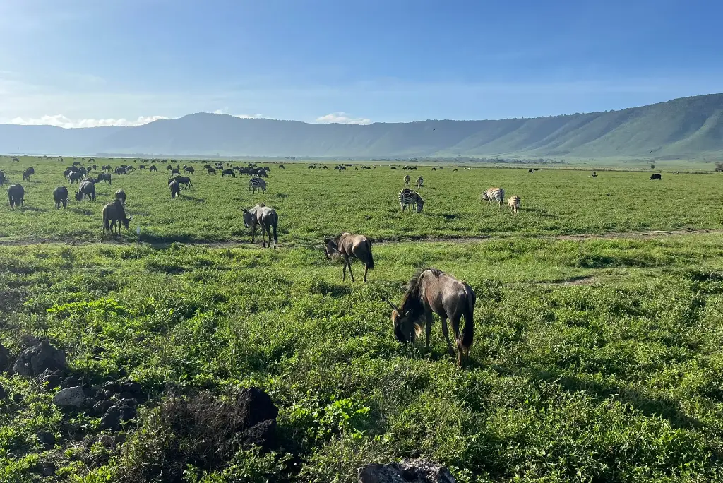 2-days-tarangire-national-park-ngorongoro-crater2