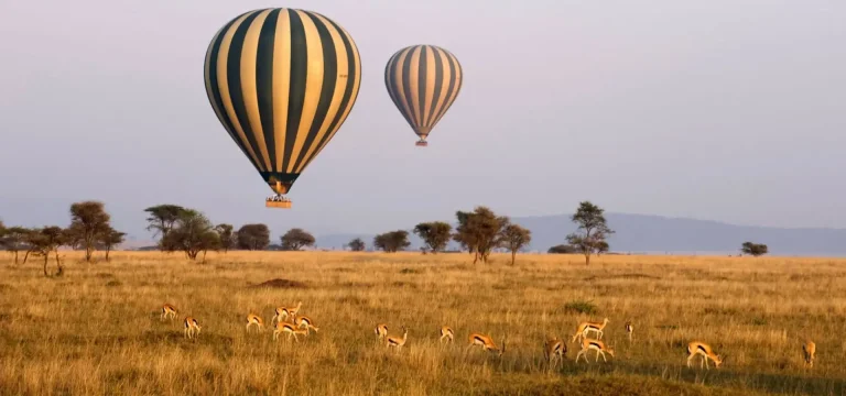 21  Days  Southern Tanzania Safari + Gombe Chimpanzee Trekking & Zanzibar