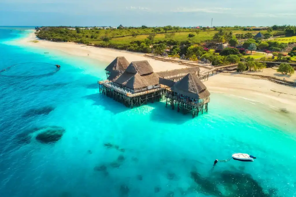 21-day-southern-tanzania-safari-gombe-chimpanzee-trekking-zanzibar2
