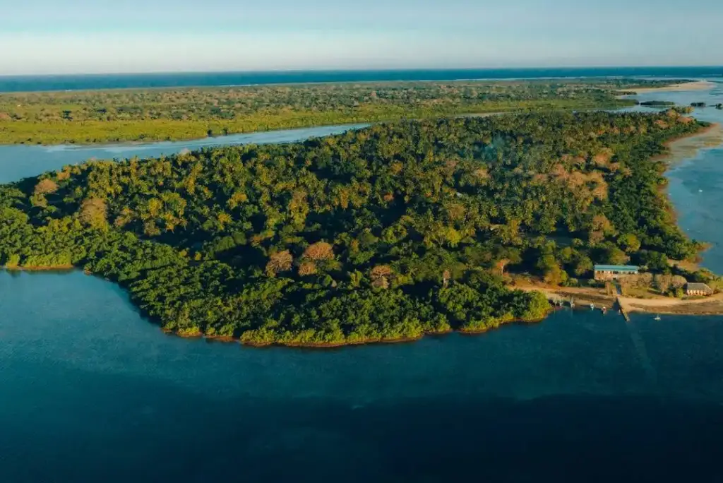 21-day-southern-tanzania-safari-gombe-zanzibar-mafia19