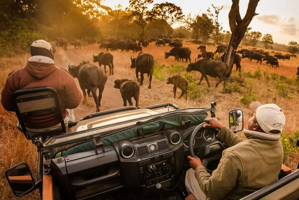21-day-southern-tanzania-safari-gombe-zanzibar-mafia4