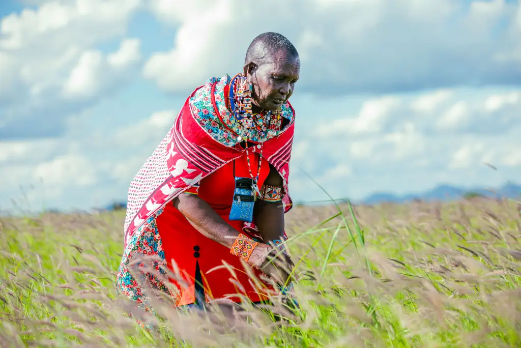 21-day-southern-tanzania-safari-gombe-zanzibar-mafia5