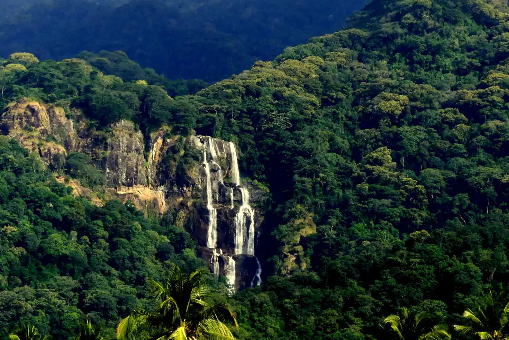 21-day-southern-tanzania-safari-gombe-zanzibar-mafia7