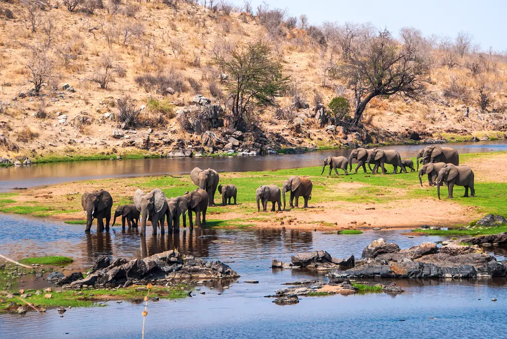 21-day-southern-tanzania-safari-gombe-zanzibar-mafia9