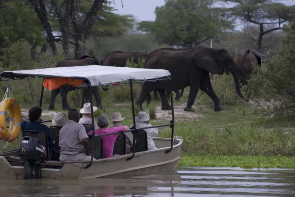 3-day-nyerere-national-park-safari-from-zanzibar2