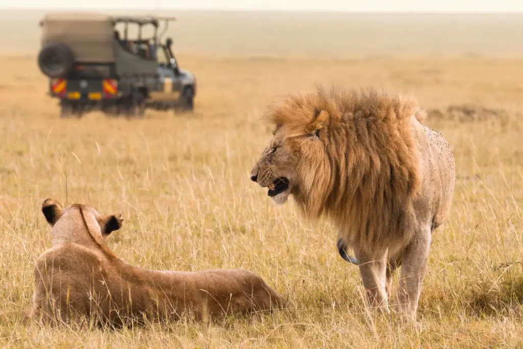 3-day-serengeti-safari-from-zanzibar2