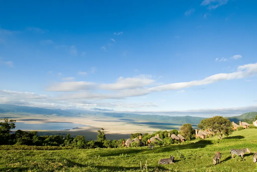 3-day-tanzania-safari-from-arusha2