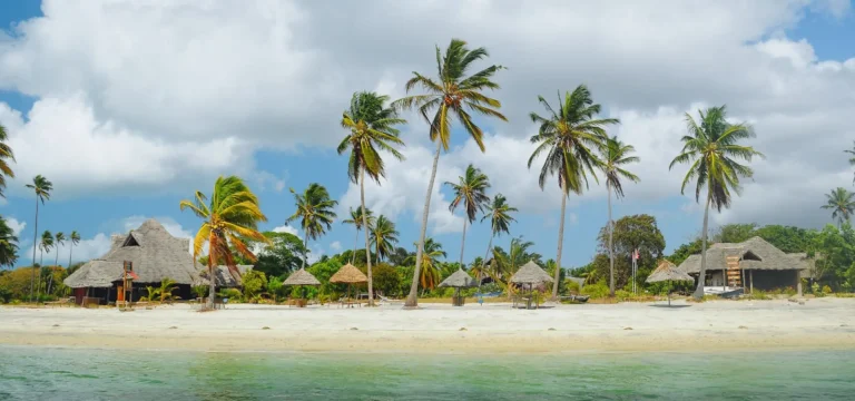 3  Days  Mafia Island