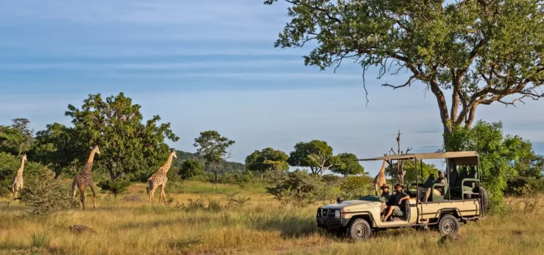 3 Days Nyerere National Park from Zanzibar – Ultimate Safari Experience