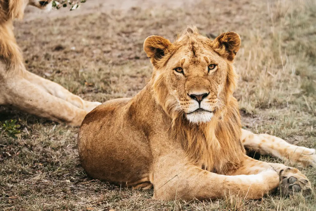 3-days-nyerere-national-park-from-zanzibar2