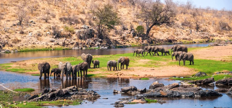3  Days  Ruaha National Park Safari from Zanzibar