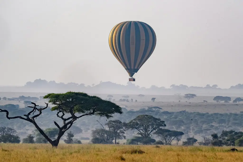 3-days-serengeti-fly-in-safari-2