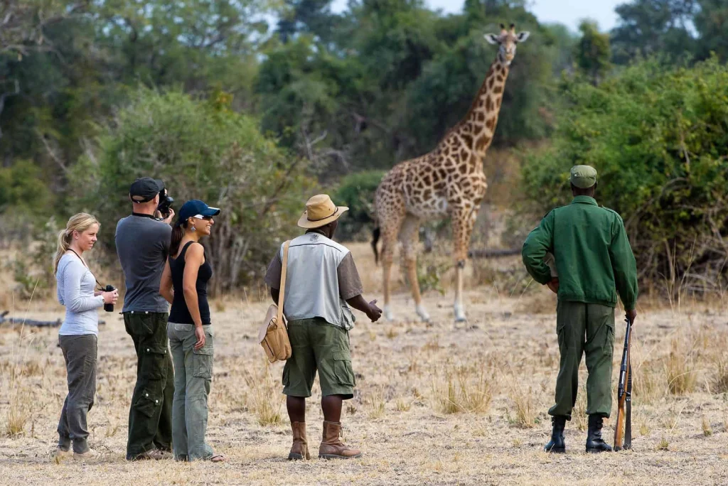 4-day-selous-safari-tazara-train-itinerary-5