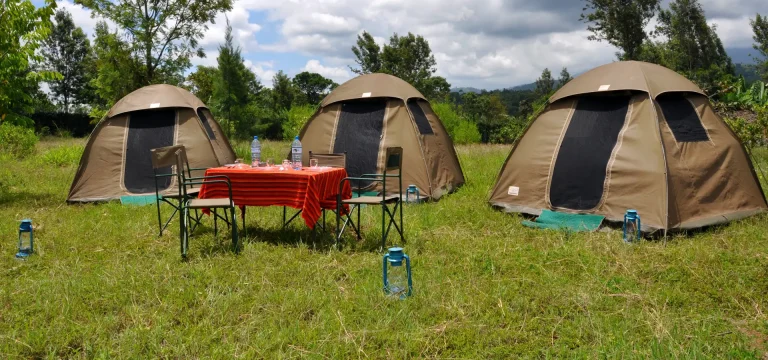 4  Days  Tanzania Camping Safari Itinerary | Serengeti, Ngorongoro, Manyara