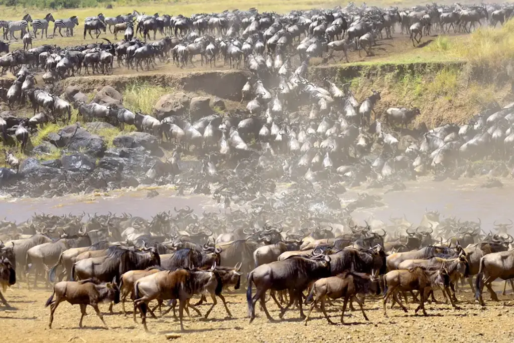 4-day-tanzania-safari-ngorongoro-serengeti3