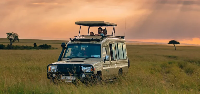 5  Days  Kenya Safari Itinerary – Masai Mara, Lake Naivasha & Amboseli Tour