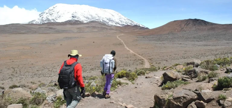 5 Days Marangu Route Kilimanjaro Trek | Beginner-Friendly Kilimanjaro Climb