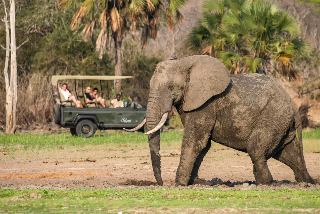 5-day-selous-camping-safari-nyerere3