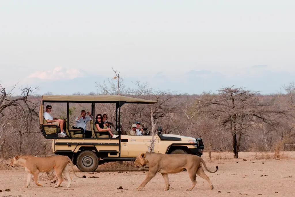 5-day-selous-camping-safari-nyerere4