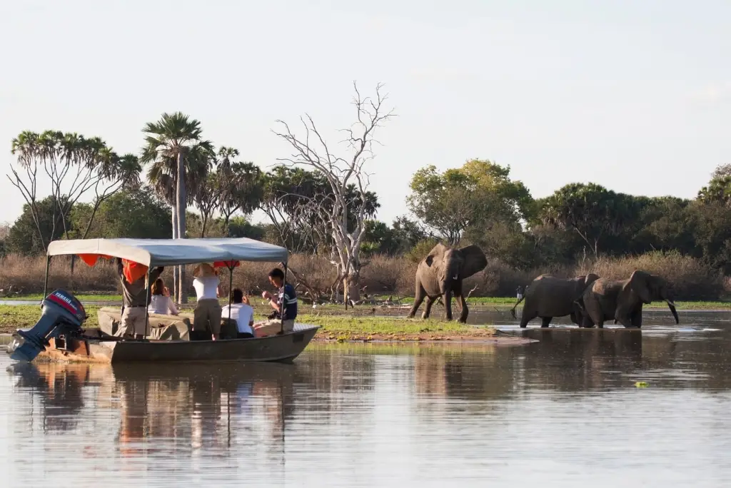 5-day-selous-safari-train-dar-es-salaam-nyerere3