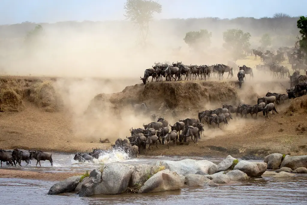 5-day-tanzania-safari-itinerary-tarangire-serengeti-ngorongoro3