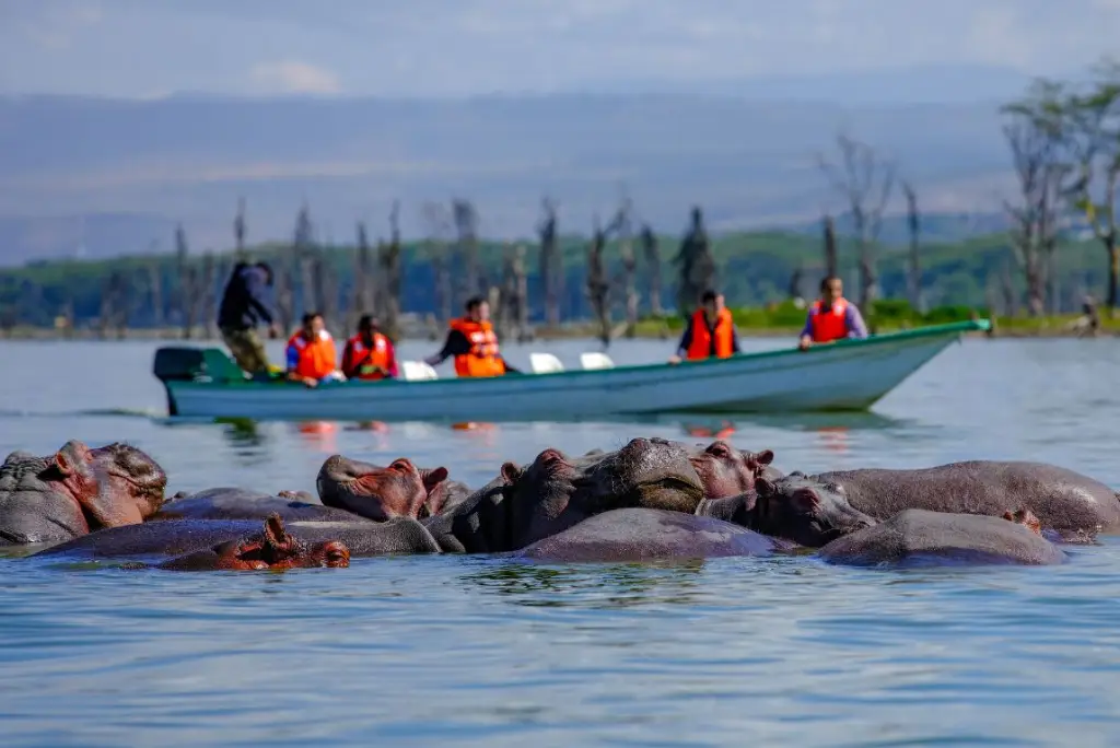 6-day-kenya-safari-itinerary-lakes-masai-mara3