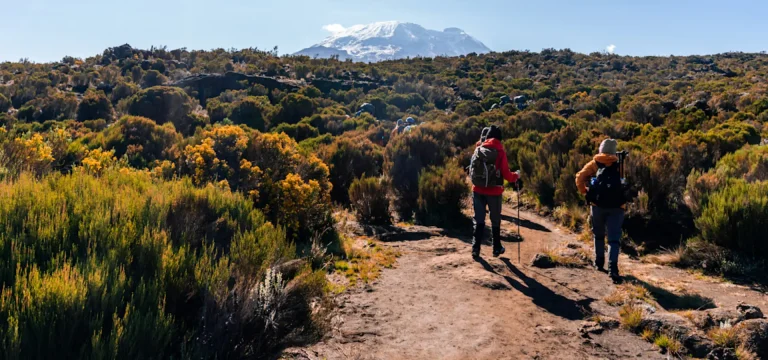 6 Days  Machame Route Kilimanjaro Climb | Whisky Route Summit Trek