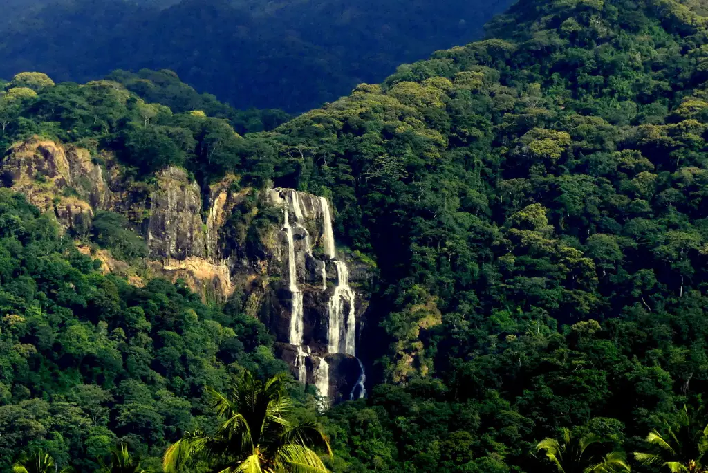 6-day-southern-tanzania-safari-itinerary5