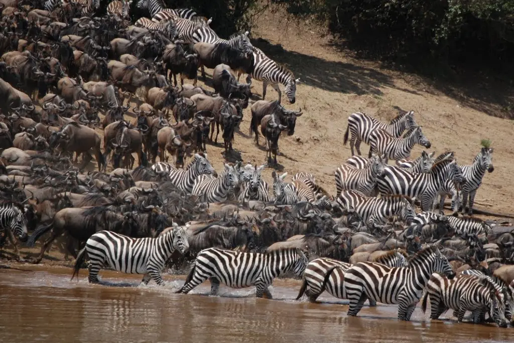6-day-tanzania-camping-safari-itinerary4