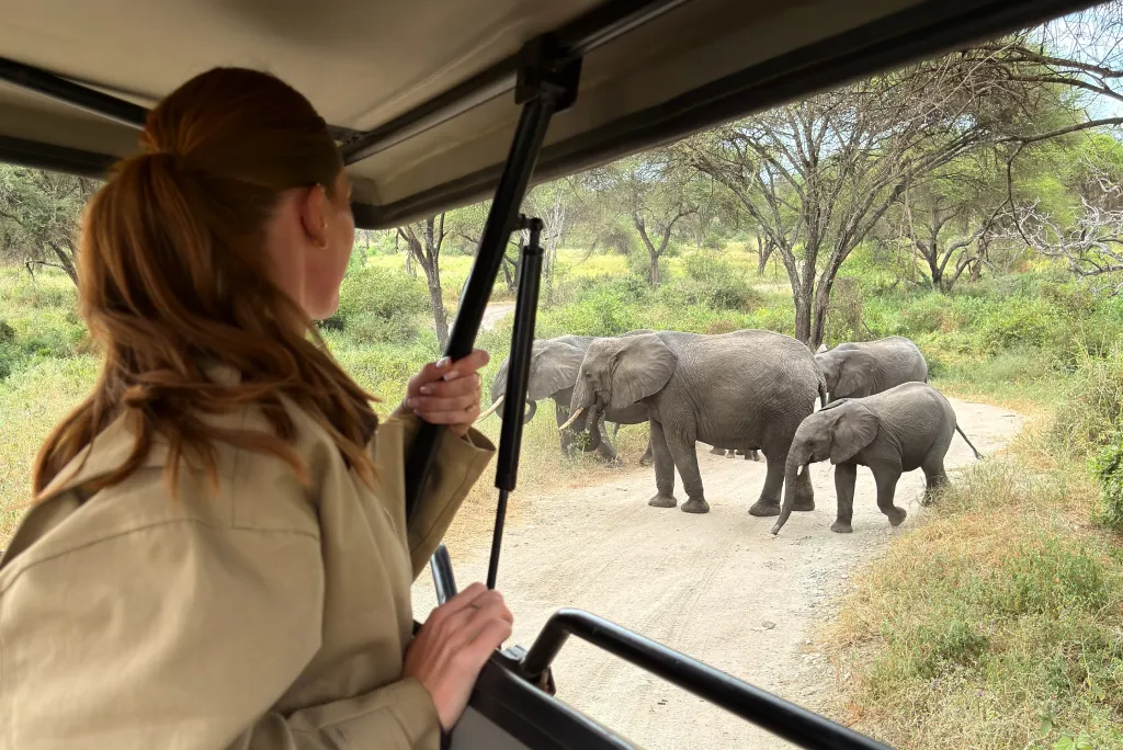 Tarangire Game Drive