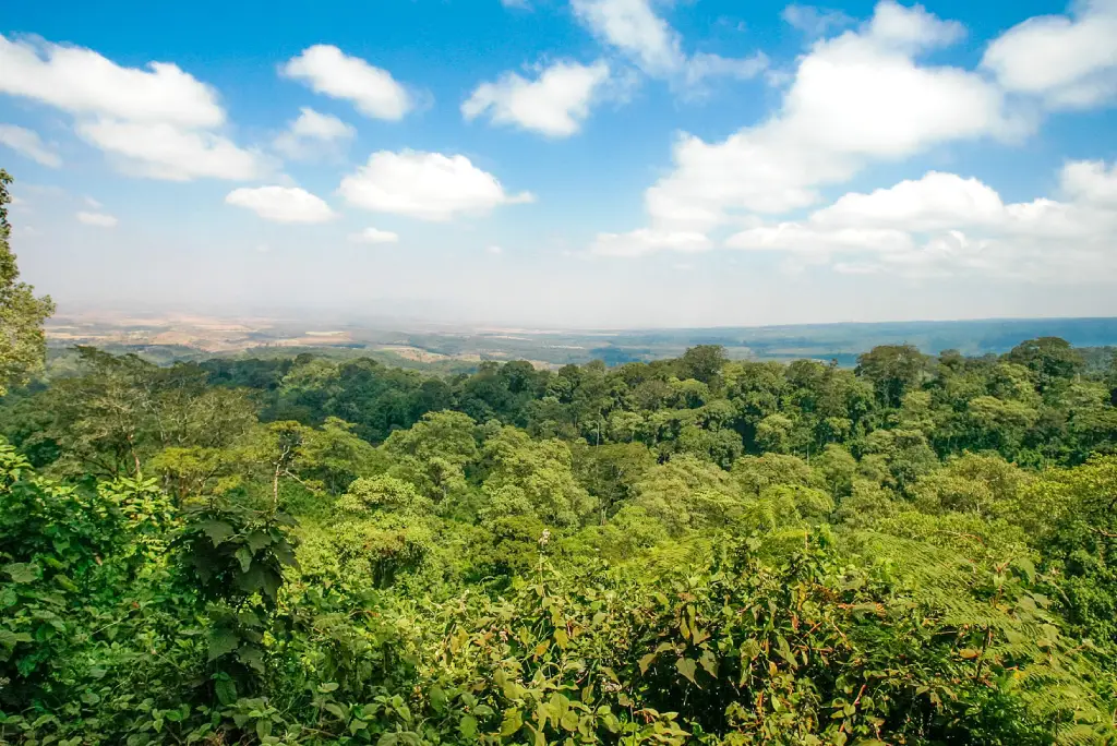 6-day-tanzania-luxury-safari-tarangire-ngorongoro-serengeti-3