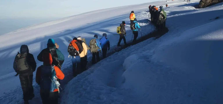 7  Days  Lemosho Route Kilimanjaro Climb | Scenic, Remote, High Success Rate