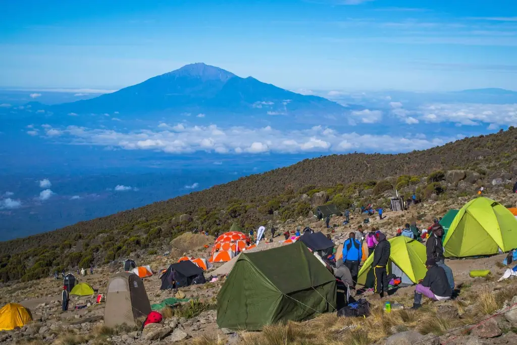 7-day-lemosho-route-kilimanjaro-itinerary8