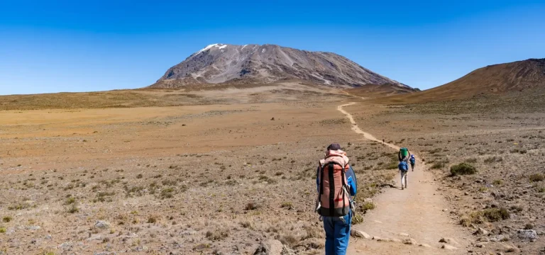 7  Days  Machame Route Kilimanjaro Trek | Best for Acclimatization & Views