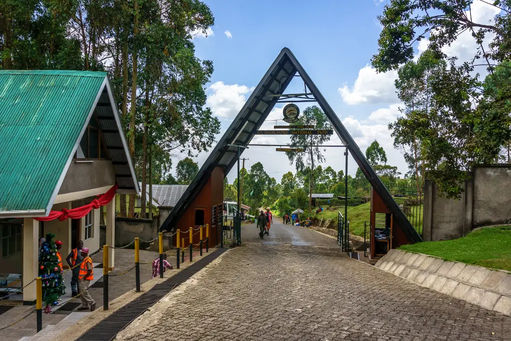 7-day-machame-route-kilimanjaro-climb1