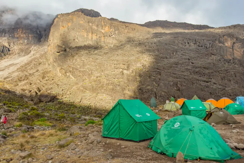 7-day-machame-route-kilimanjaro-climb4