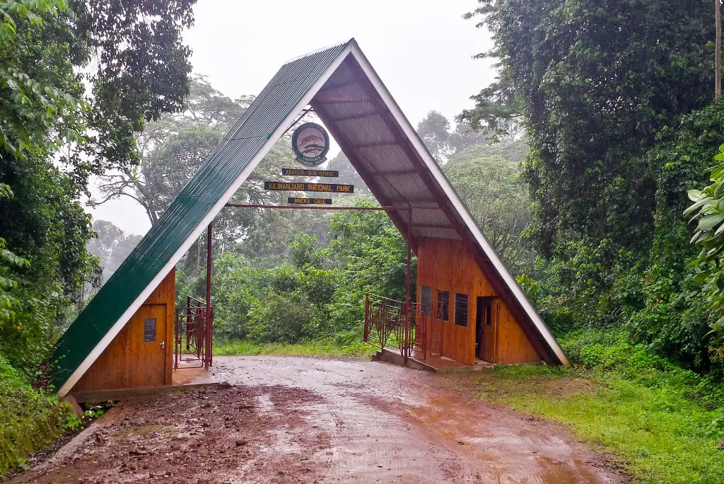 7-day-machame-route-kilimanjaro-climb7