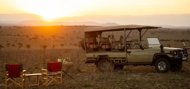 7  Days Camping Safari in Mikumi & Ruaha | Tanzania Wilderness Adventure