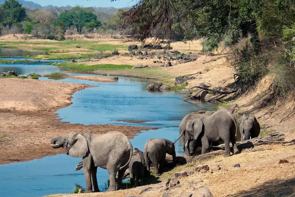 7-day-mikumi-ruaha-camping-safari4