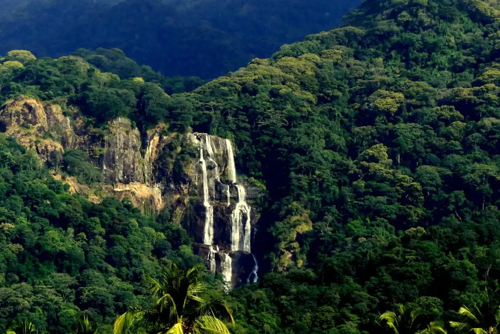 7-day-southern-tanzania-safari-itinerary3