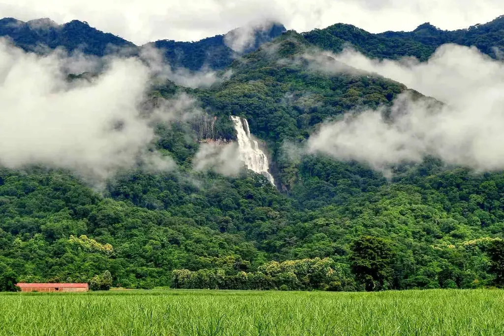 7-day-southern-tanzania-safari-itinerary4
