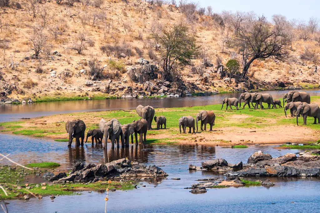 7-day-southern-tanzania-safari-itinerary5
