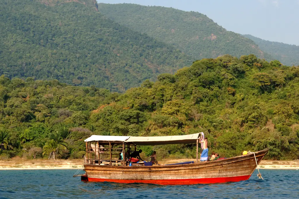 7-day-tanzania-chimpanzee-safari-gombe-mahale3