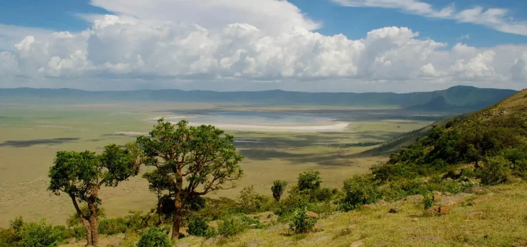 7  Days  Tanzania Safari – Tarangire, Serengeti & Ngorongoro Crater Itinerary