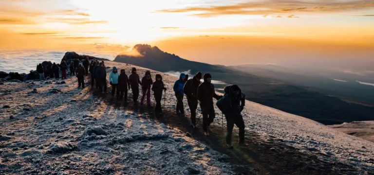 8  Days  Lemosho Route Kilimanjaro Climb | Most Scenic Trek